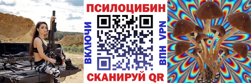 купить  сайты  Сыктывкар  Псилоцибиновые грибы GOLDEN TEACHER 